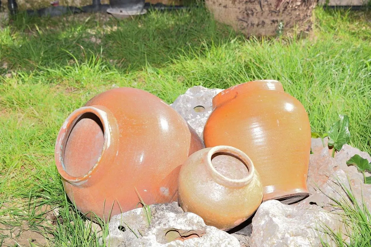 Vakantiehuis 147 Finca Terra Nostra Etv6544 By Mallorca Charme Muro