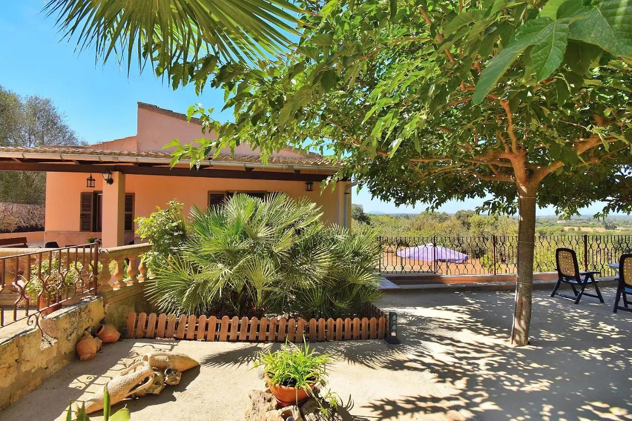 Holiday home 147 Finca Terra Nostra Etv6544 By Mallorca Charme Muro